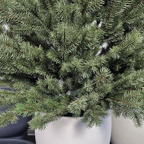 Nadeln des künstlichen Weihnachtsbaums Royal