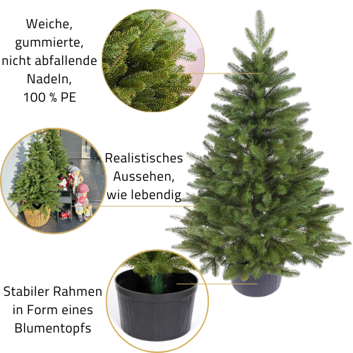Details zum Weihnachtsbaum Norwegische Fichte