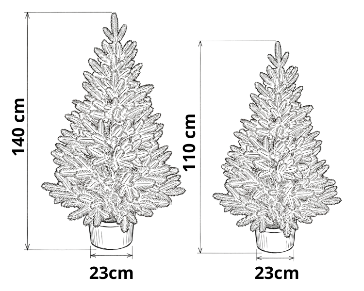 Größen der Weihnachtsbäume