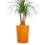 Garafia großer runder Topf 45 cm, orange