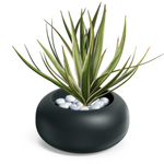Runder Blumentopf Ufo, H 22 x 48 cm, schwarz