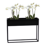 Rechteckiger Blumenstaender  Stella 60x80 cm, schwarz