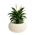 Runder Blumentopf Ufo, H 22 x 48 cm, creme