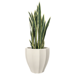 Garten Topf Rona H 54x60 cm, creme