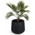 Gartentopf Coro H 42x48 cm, schwarz