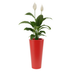 Venus 70 hoher runder Topf mit Regal, rot