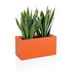 Lungo rechteckiger Blumentopf 38 cm ohne Boden, orange