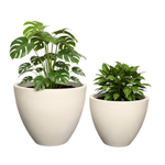 Blumenkübel für das Wohnzimmer Aria H 32 und 40 cm, creme, Set