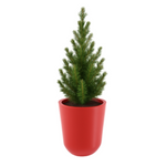 Runder moderner Blumentopf Westa 50 cm ohne ablage, rot