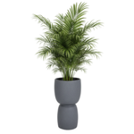 Blumenkasten für das Wohnzimmer Duala, Höhe 54 x 30 cm, anthrazit