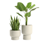 Blumentopf Baso, H 33 i 51 cm, creme, Set