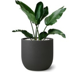 Garten Topf Fero H 48x48 cm, anthracit