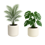 Ambiente Höhe 30 und 45 cm mit Einsatz, cremefarben, Set