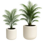 Ambiente Höhe 45 und 60 cm mit Einsatz, cremefarben, Set