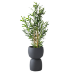 Garten Blumentopf Duala H 41x30 cm, anthrazit
