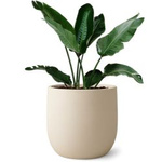 Garten Topf Fero H 48x48 cm, creme