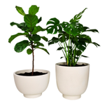 Terrassenblumentopf Vivo, Höhe 26 und 40 cm, creme, Set