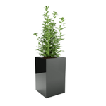 Rechteckiger quadratischer Fiberglas-Topf Pillar, H 48 x 30 cm, schwarz