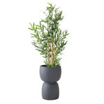 Garten Blumentopf Duala H 41x30 cm, anthrazit