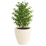 Blumenkasten für das Wohnzimmer Aria, H 40 x 47 cm, creme