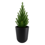 Runder moderner Blumentopf Westa 50 cm ohne Regal, schwarz