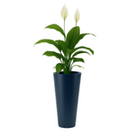 Venus 70 hoher runder Topf mit Regal, blau