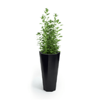 Octavia 79 cm hoher Blumentopf mit Ablage, schwarz