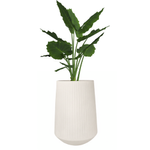 Gartentopf Coro H 53x40 cm, creme