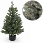 Künstlicher Weihnachtsbaum im Topf Fichte Royal 80 cm LIMITIERTE AUFLAGE