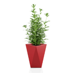 Vaso 60 cm großer Gartentopf mit Regal, rot