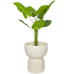 Blumenkasten für das Wohnzimmer Duala, H 55 x 47 cm, creme