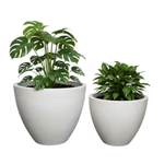 Blumenkübel für das Wohnzimmer Aria H 32 und 40 cm, creme, Set