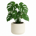 Runder Blumentopf Ambiente, H 30 x 40 cm, mit Einsatz, creme